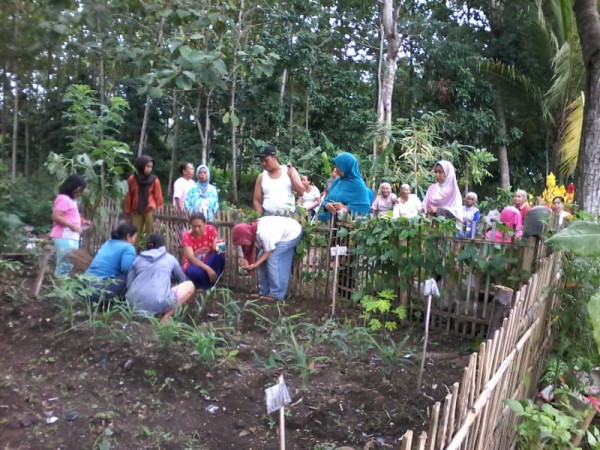 Kerja bakti Dasawisma Tanam toga merawat sayur .