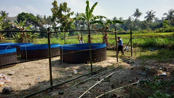 Perikanan Mino Sarana Mandiri