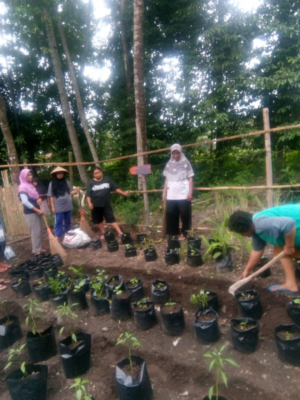Taman Toga Dan sayur