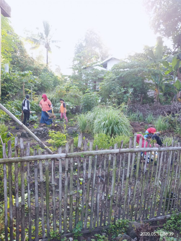 Taman toga dan sayur