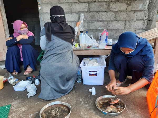 Penelitian Penyakit Ikan