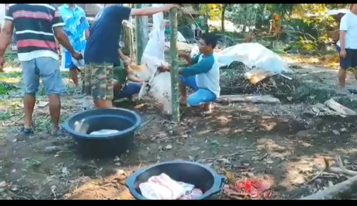 Pemotongan hewan qurban