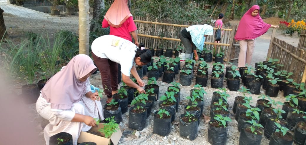 Taman Toga Dasawisma