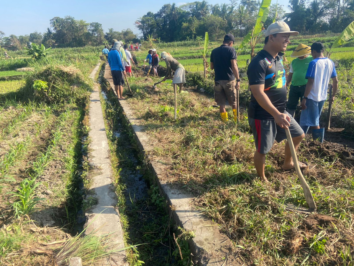 Gotong Royong pembuatan jalan Pertanian di Rt 03 Dusun Purwobinangun