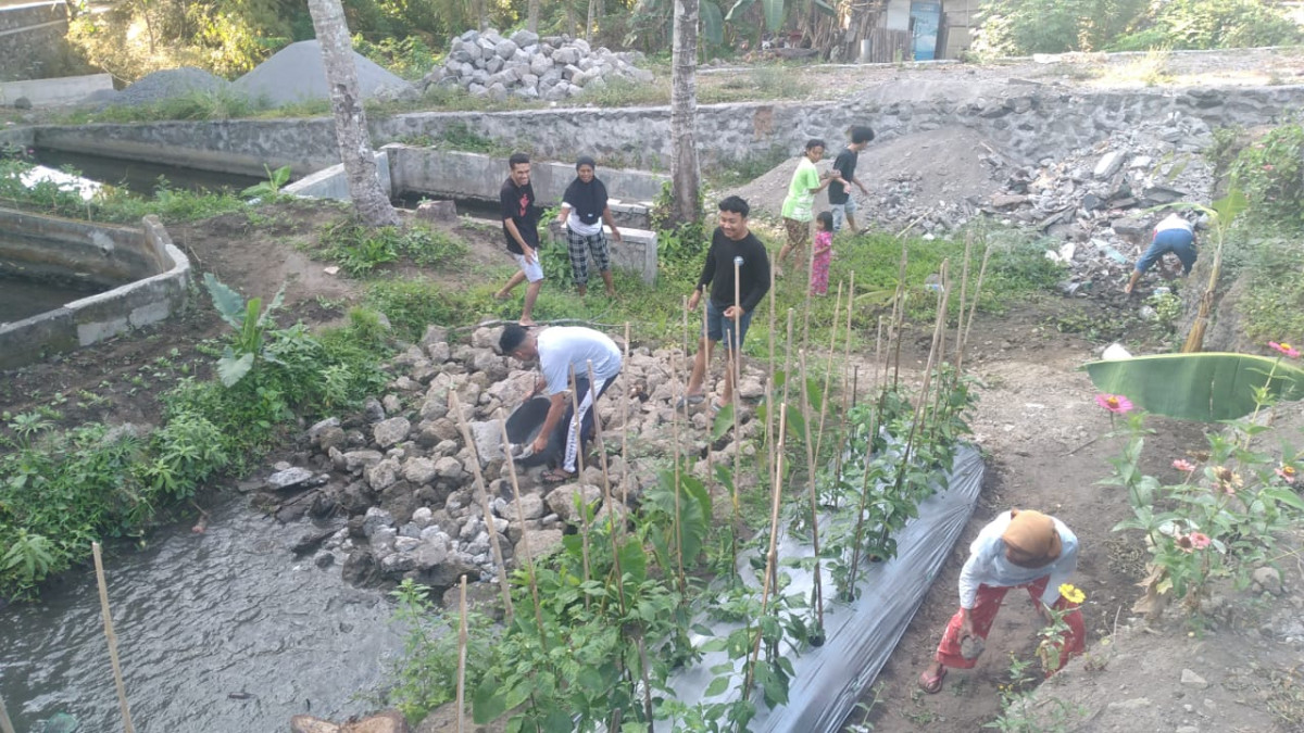 Gotong royong KWT mawar handayani dusun Kalibulus