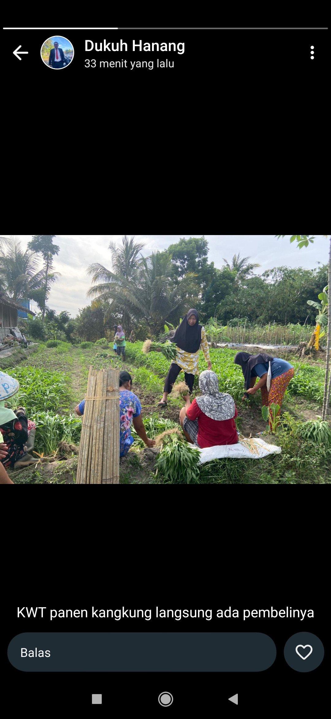 KWT Cindelaras Purwobinangun