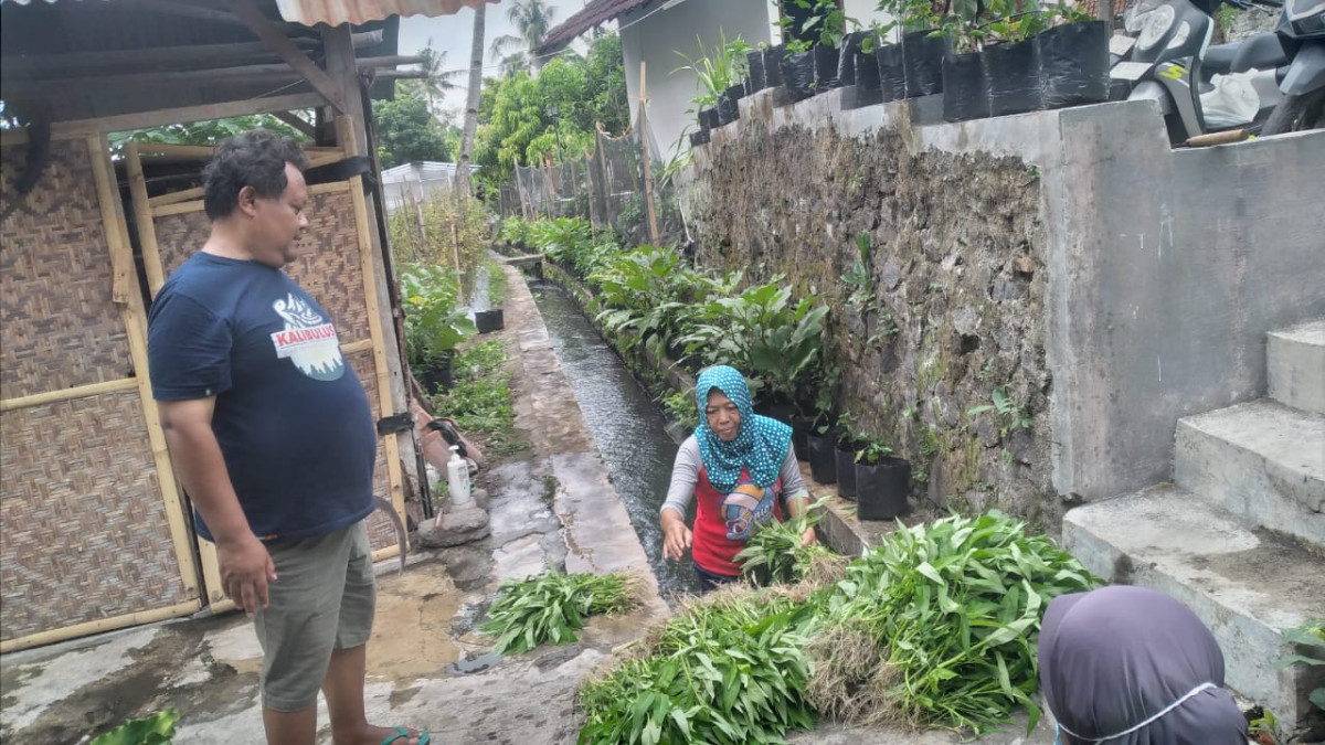Gotong royong KWT mawar handayani dusun Kalibulus