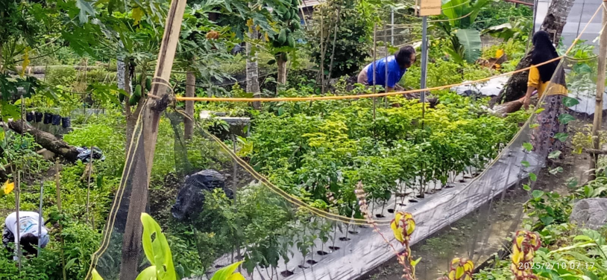 Piket KWT Mawar Handayani dusun Kalibulus