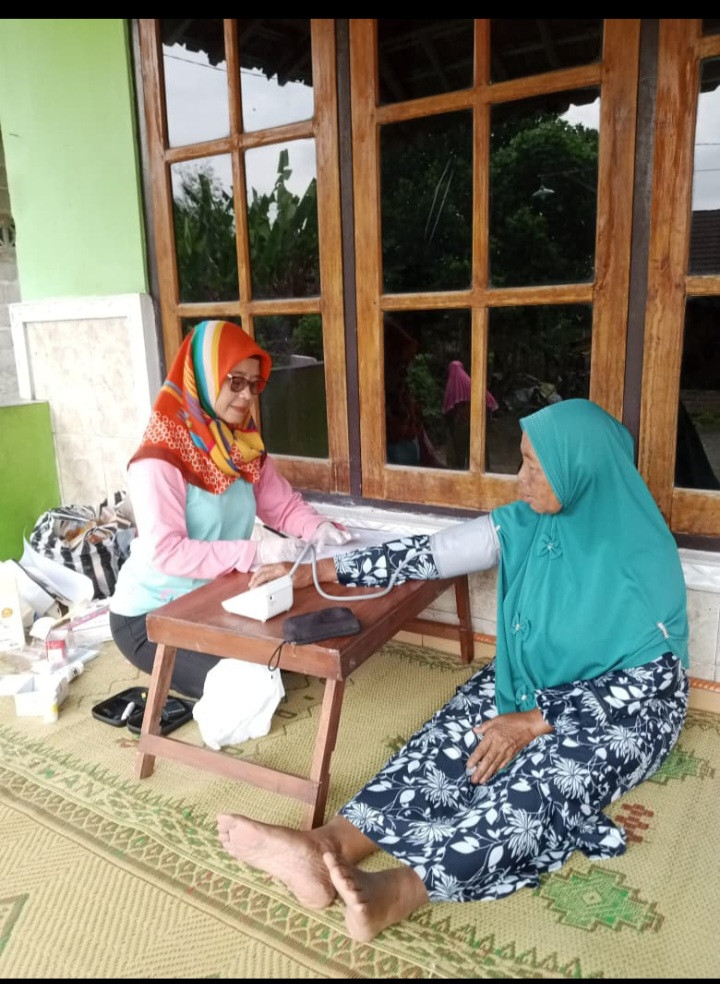 Posyandu lansia balong