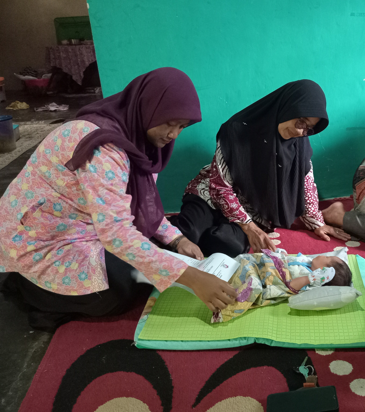 Kunjungan bayi baru di balong