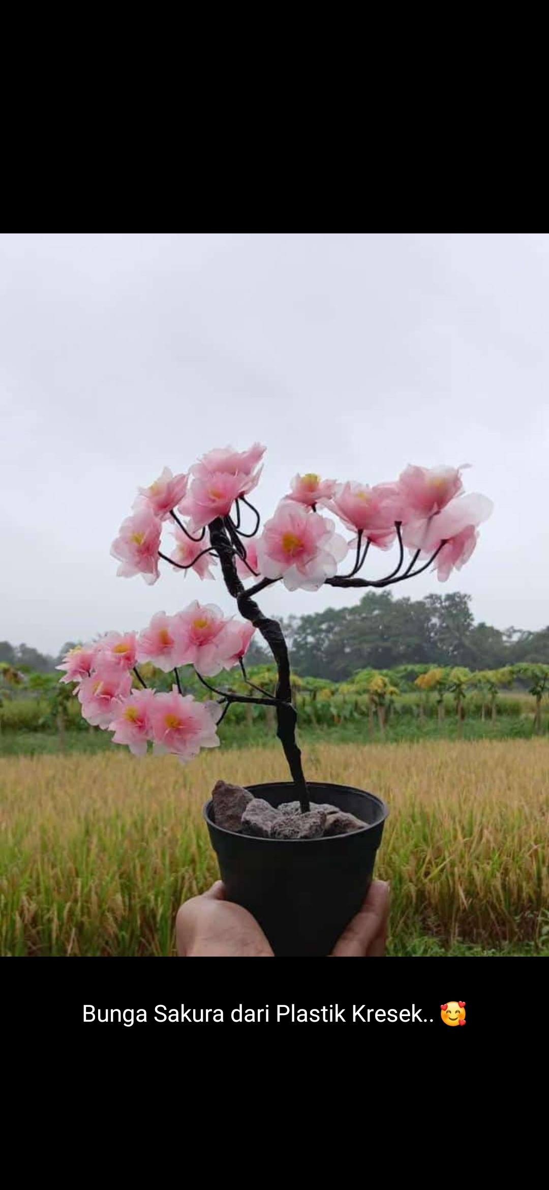 Dasawisma Melon 9 Koroulon Lor Berkreasi