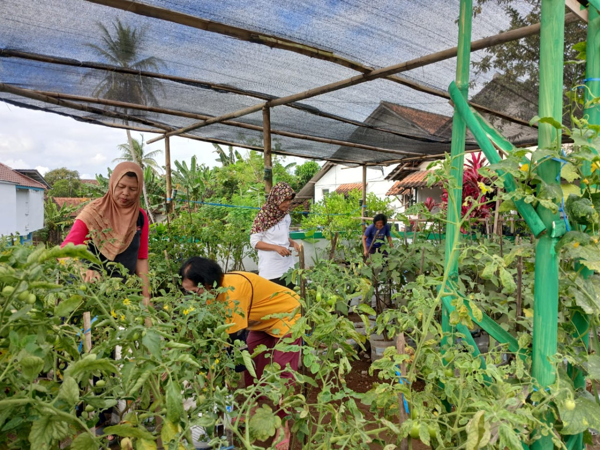 Kerja bakti dawis mawar dusun Koroulon kidul