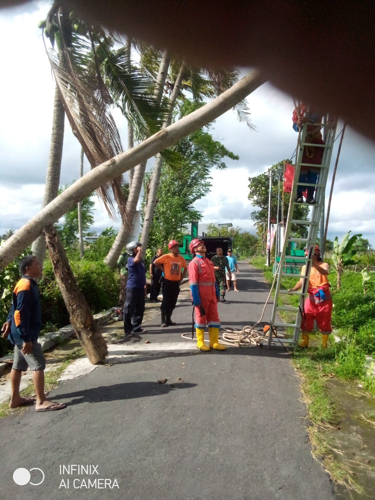 Evakuasi pohon tumbang