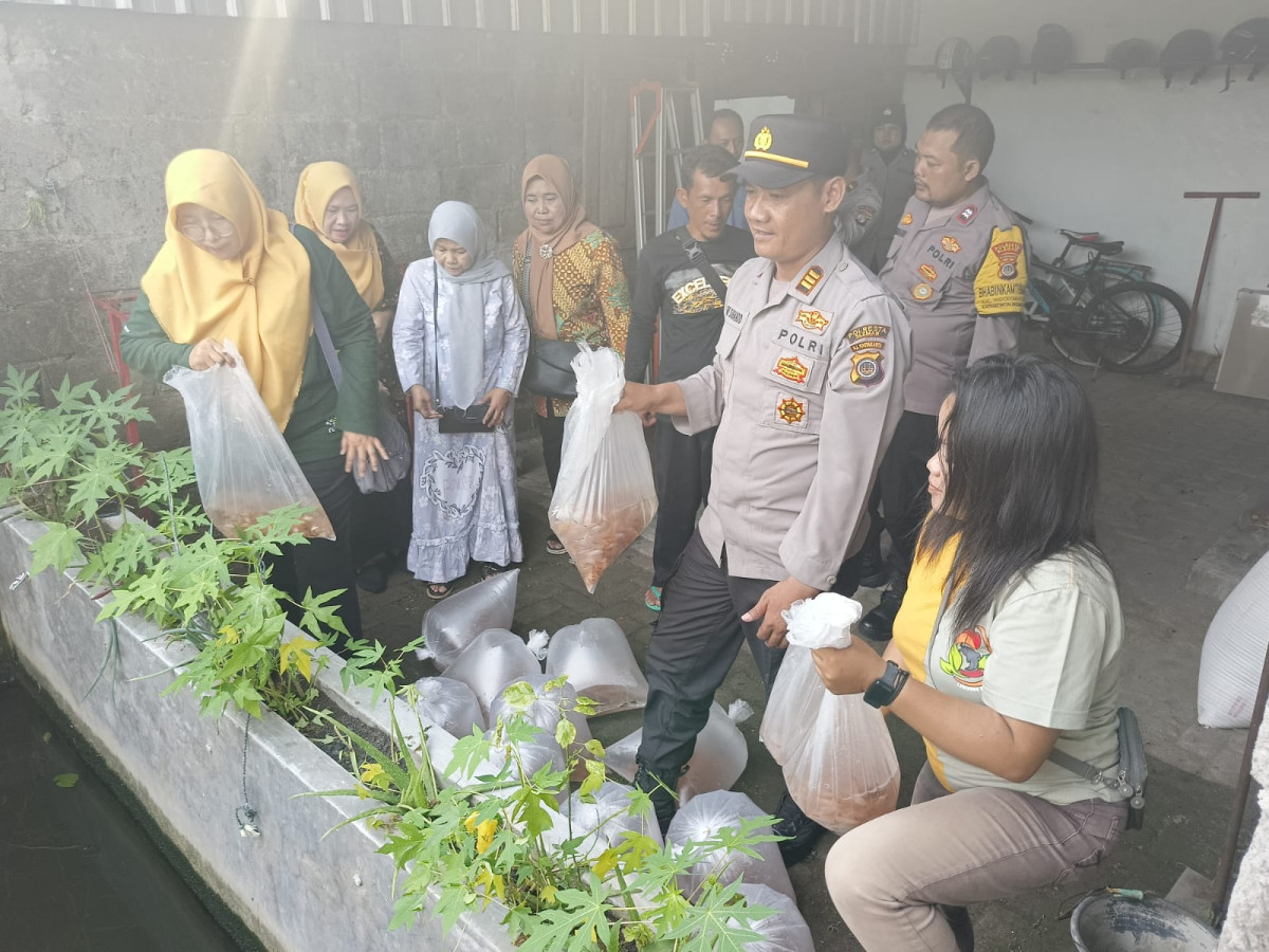 Pelepasan bibit nila di kwt mekar ngalian oleh Kapolsek ngemplak