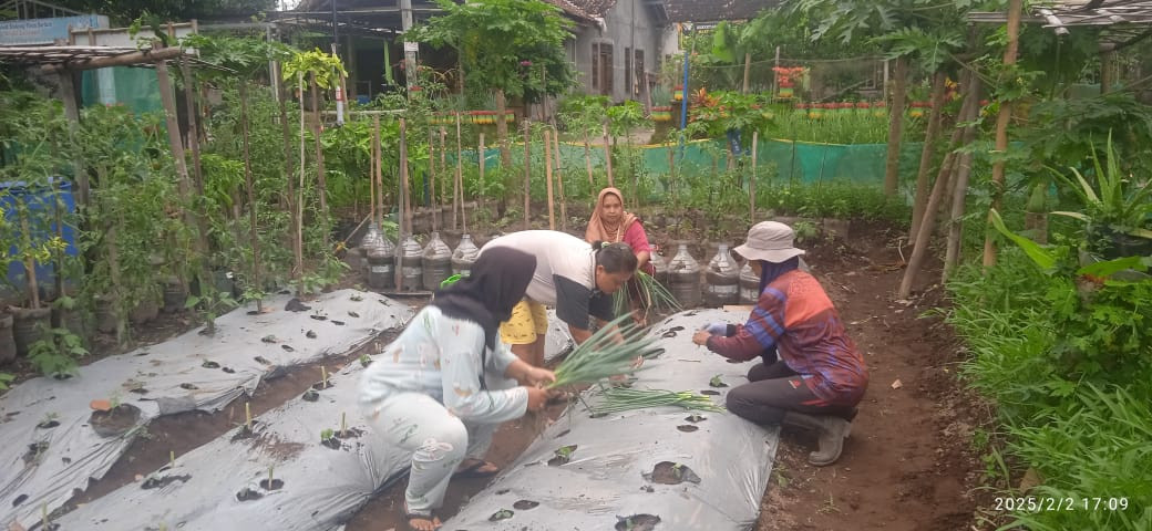 Kerja bakti demplot kwt ngalian