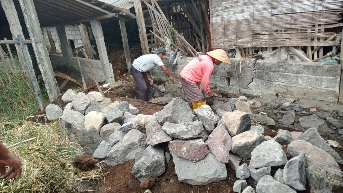 Gotong royong perbaikan kandang kelompok dusun jetis