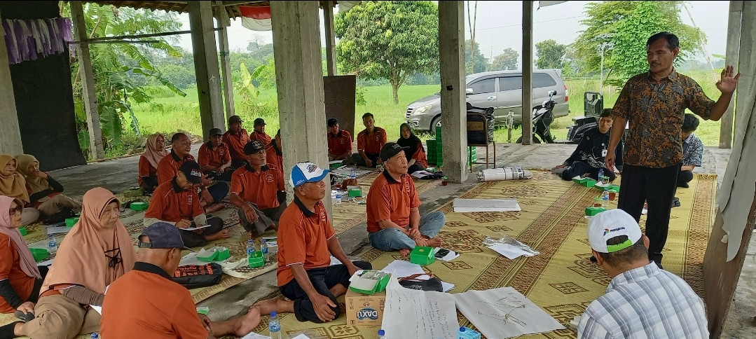 SlPHT Tanaman Padi di dusun Kwadingan