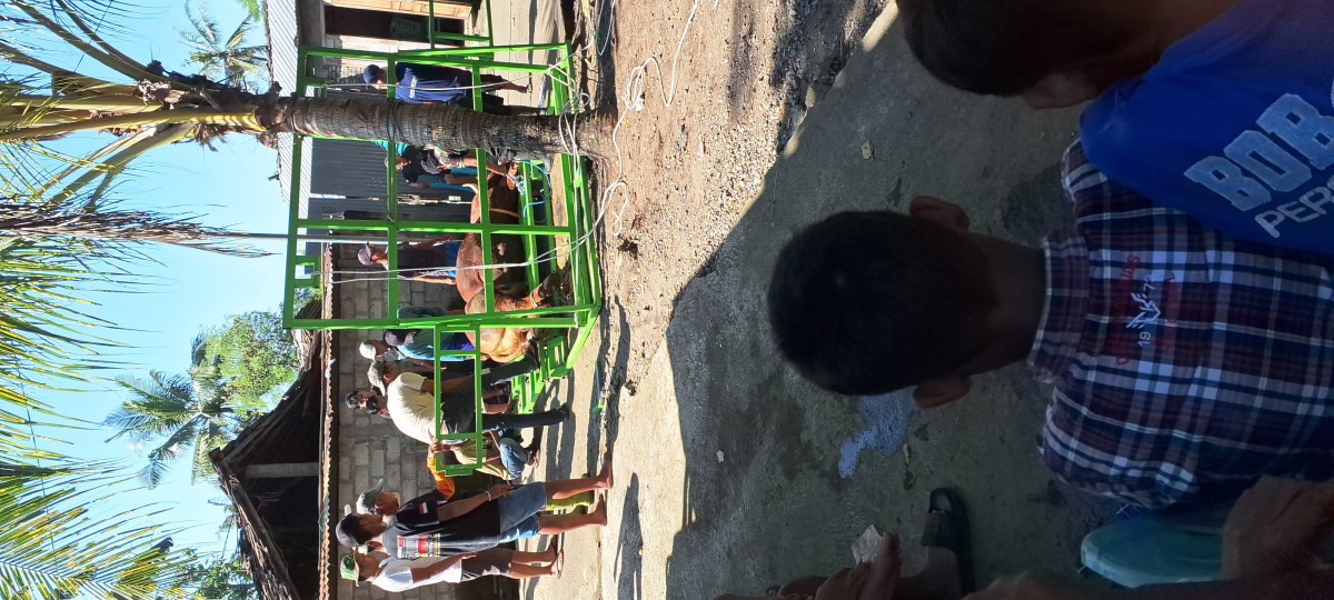 Pelaksanaan qurban dipadukuhan kemasan