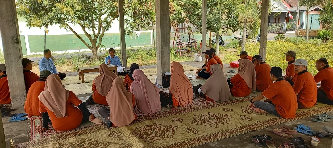 Evaluasi SLPHT Tanaman Padi di dusun kwadungan