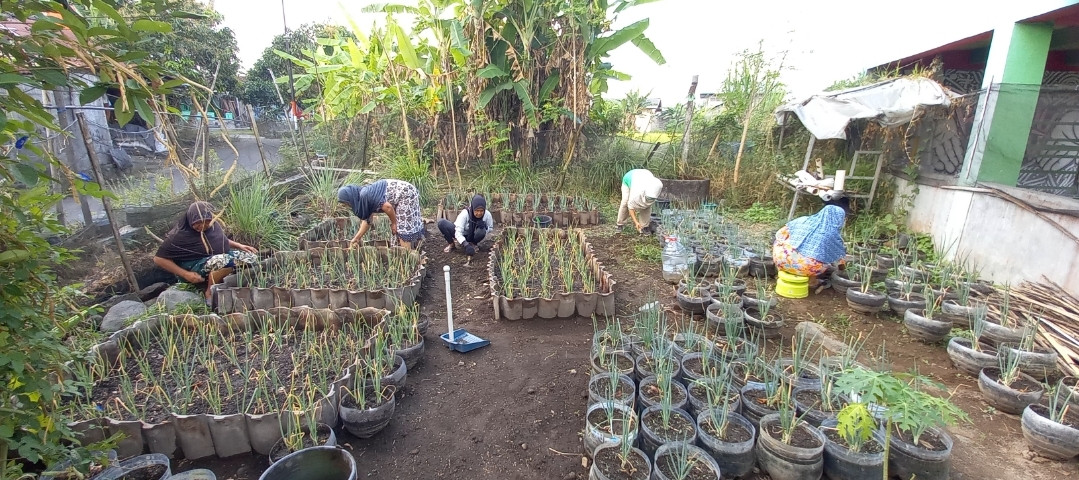Menyiangi rumput di kebun KWT Kwadungan