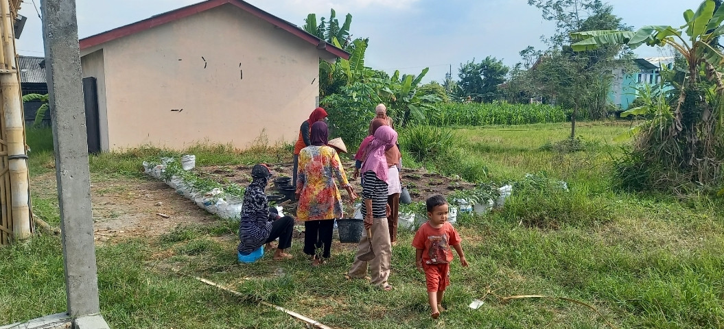 Menyiram dan memupuk tanaman di KWT Kwadungan