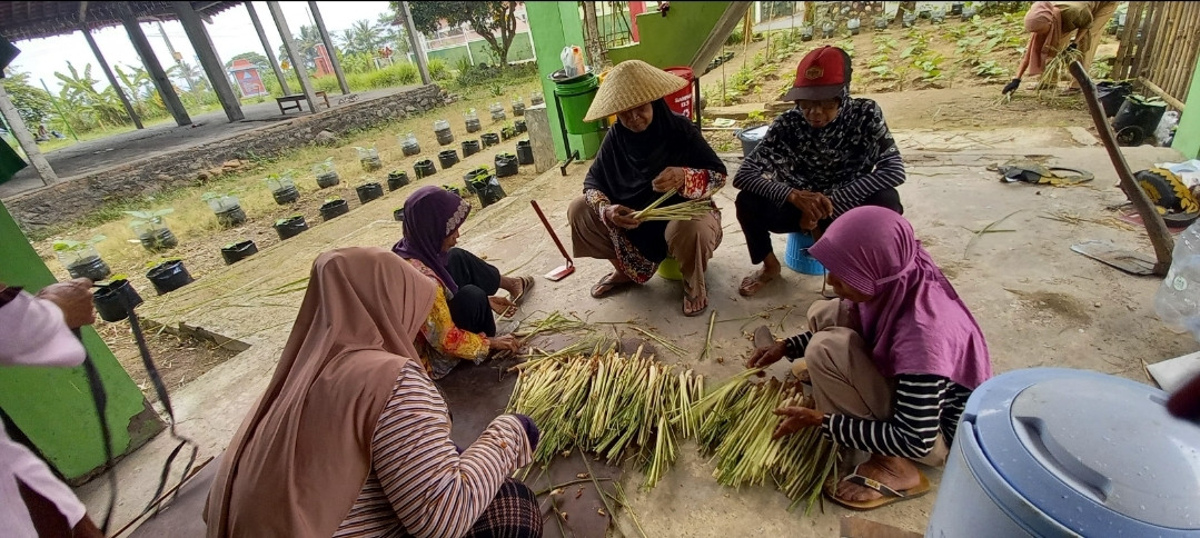 Panen sereh di KWT Kwadungan