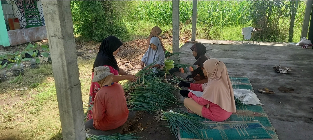 Panen loncang di KWT Mekar Lestari Lwadungan