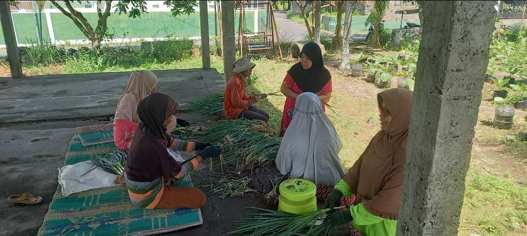 Panen Loncang KWT Mekar Lestari Kwadungan