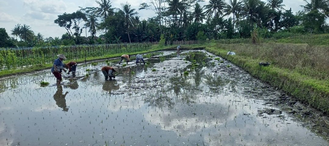 Kegiatan di Lumbung Mataraman di dusun Kwadungan