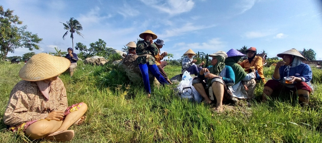 Rehat setelah matun dan sulam tanaman padi di Lumbung Mataraman dusun Kwadungan
