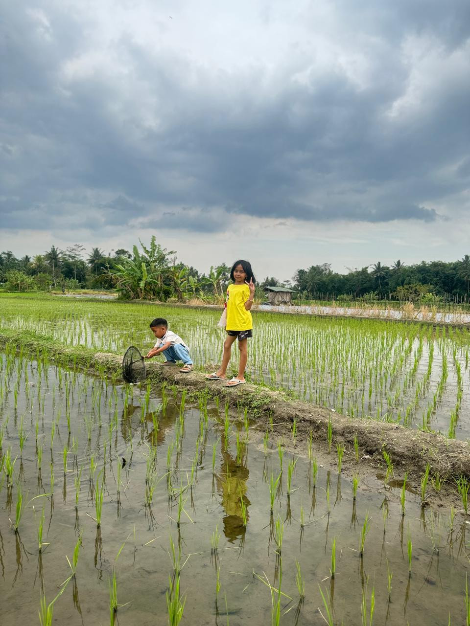 Perkumpulan kampung kb dusun Banglen