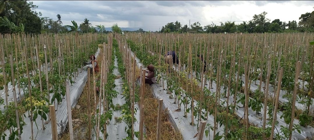 Kegiatan di Lumbung Mataraman di dusun Kwadungan