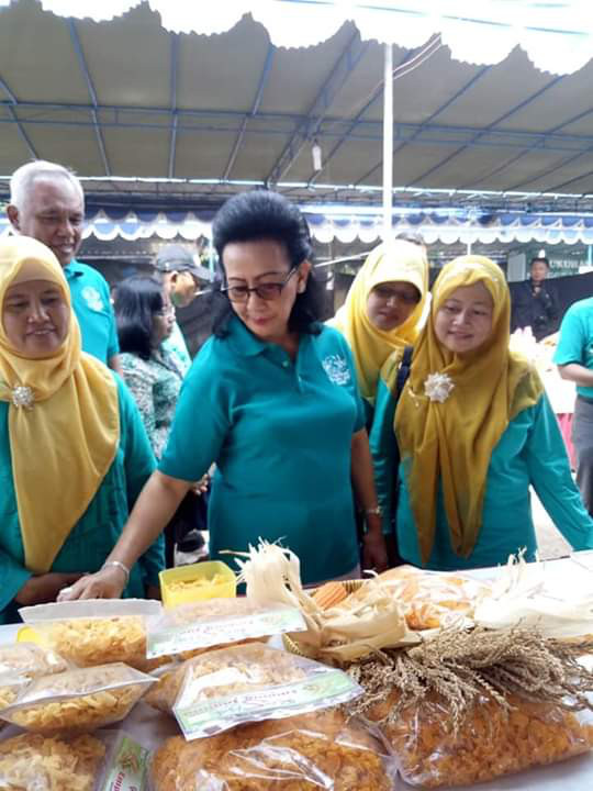 Merti Desa dan Gelar Potensi Budaya Desa wedomartani Tahun 2018