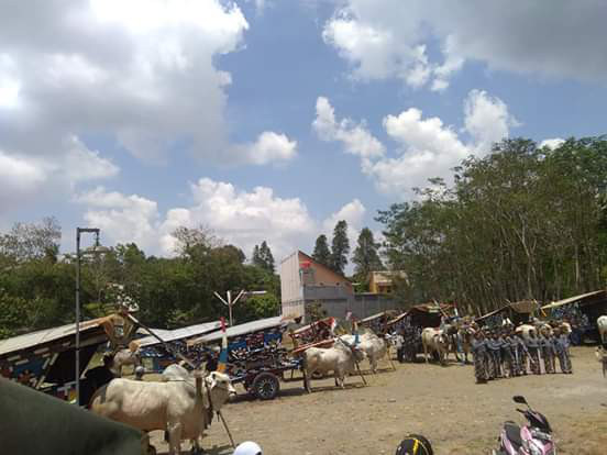 PERAN SERTA KOMUNITAS GEROBAK KAMPUNG KB 