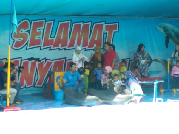 foto bersama lumba-lumba