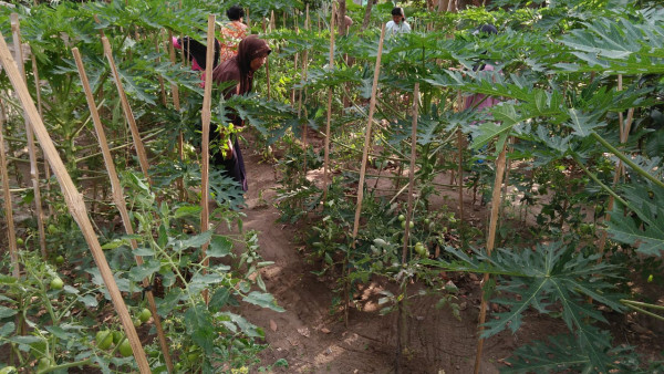 Kerja bakti kwt lestari