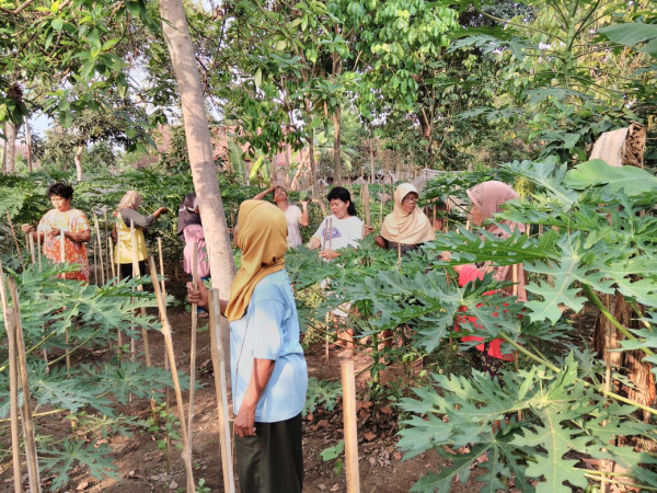 Kegiatan kerja bakti anggota kwt