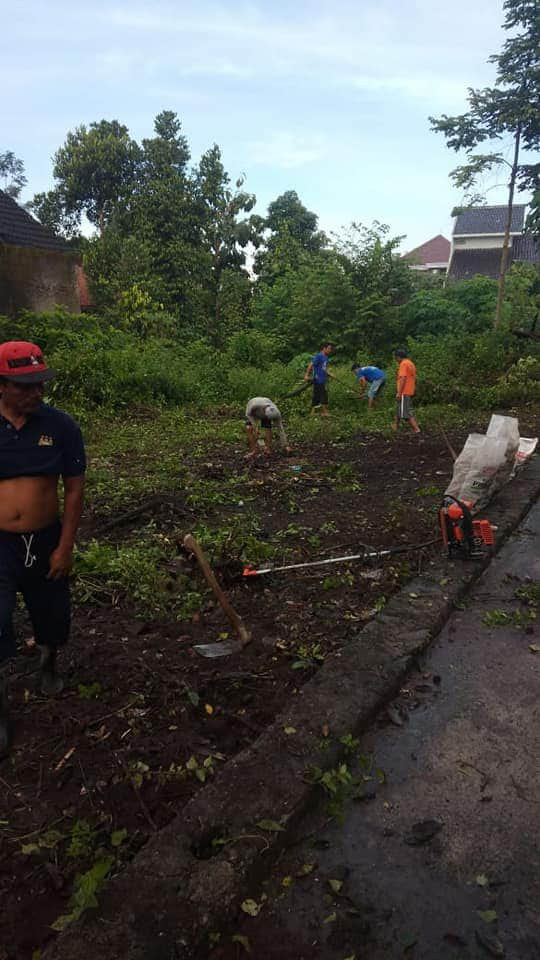 Penanaman 10.000 ketela pohon