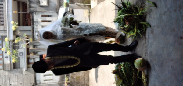 Proses Nabrak Kembar Mayang