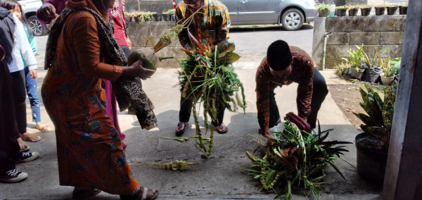 Nabrak Kembar Mayang