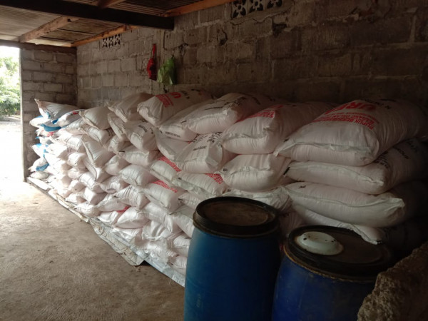 Penyediaan pupuk Urea dan Ponka bagi petani