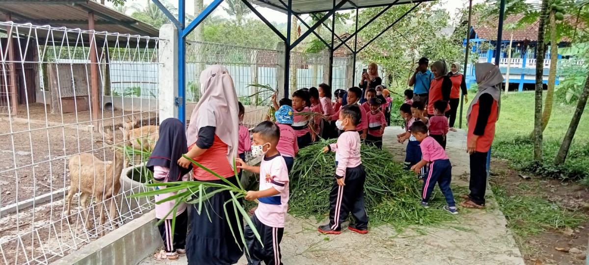 memberi makan rusa sebagai wujud cinta binatang