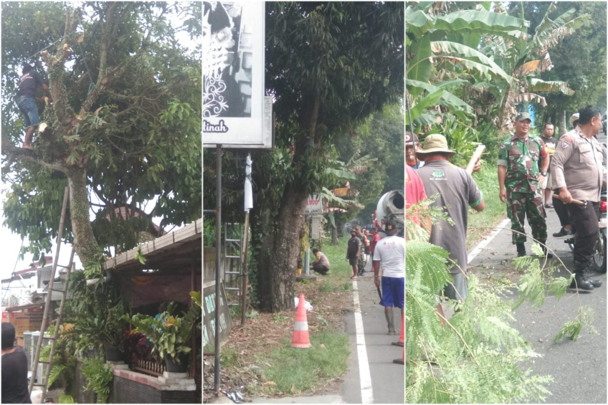Gotong Royong Membersihkan Ranting Pohon Perindang Jalan