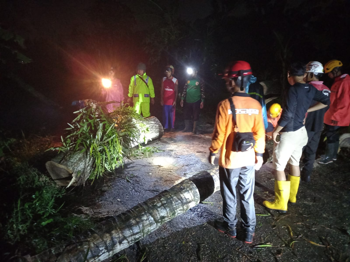 Pengondisian Pohon Tumbang di Wilayah Dusun Saren