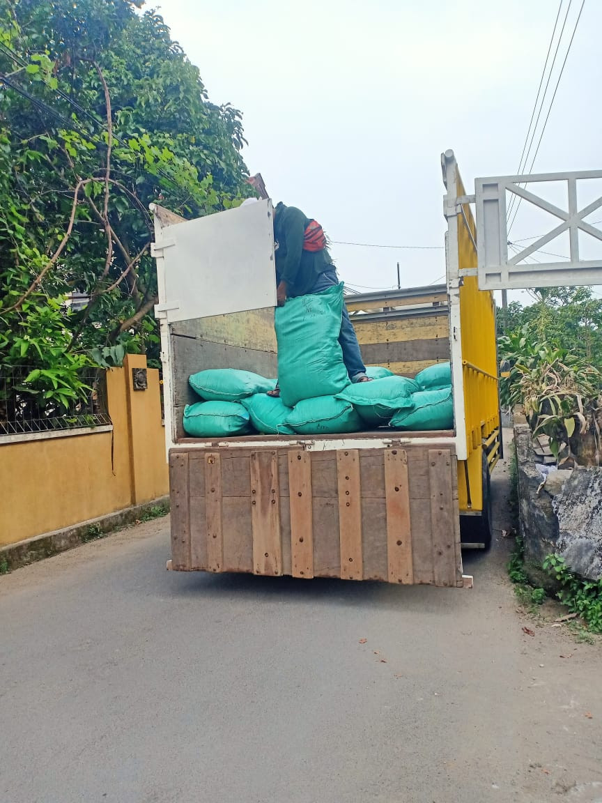 Distribusi benih padi