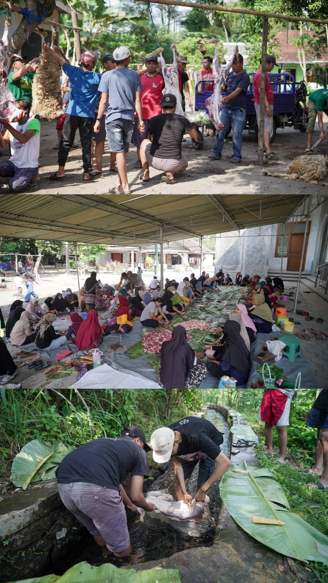 Gotong Royong penyembelihan hewan Qurban Padukuhan Ceper