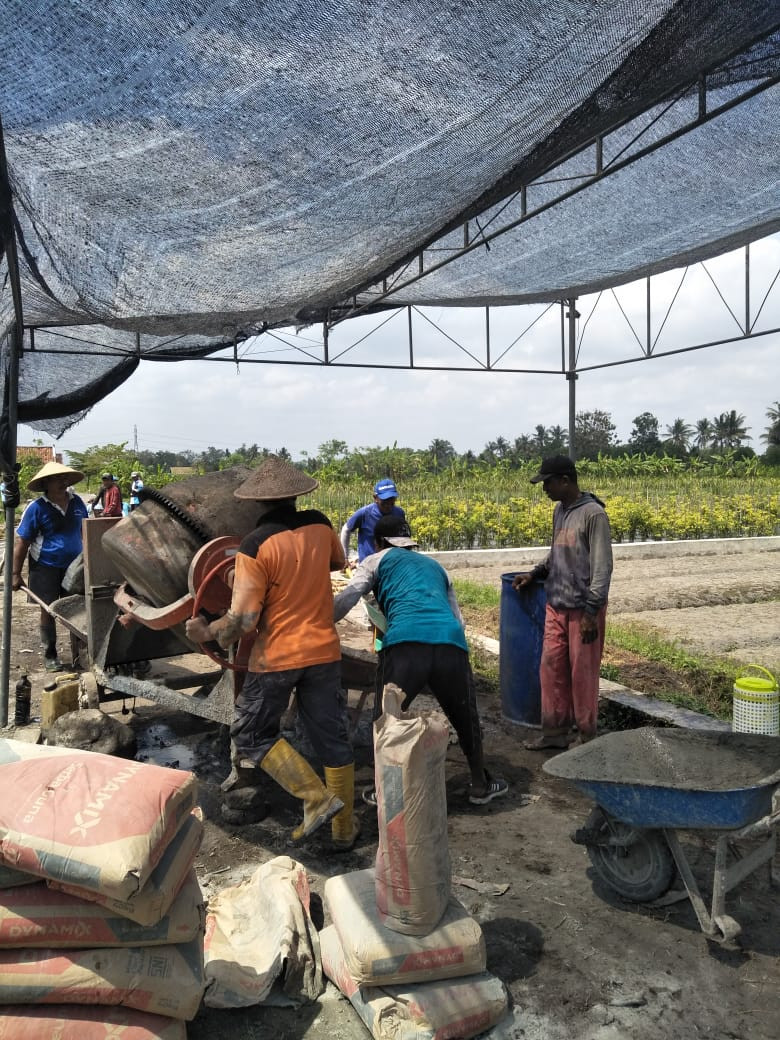 Padat karya gedongan lor