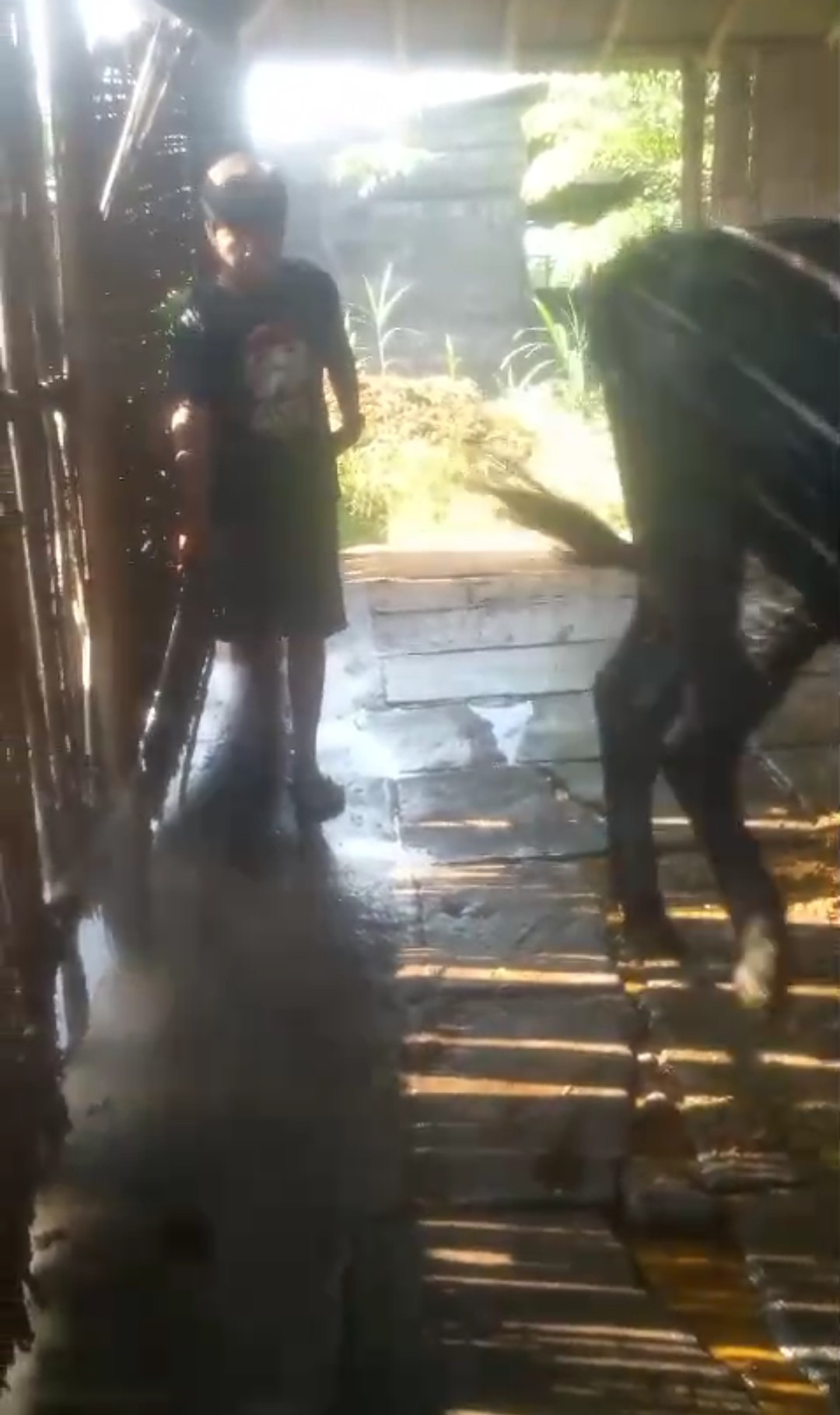 Disinfektanisasi kelp. Ternah MeGAR dusun sawahan kidul