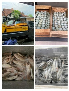 Pasokan bahan mentah PMT pecah ranting di toko bu Hesti Sanggrahan