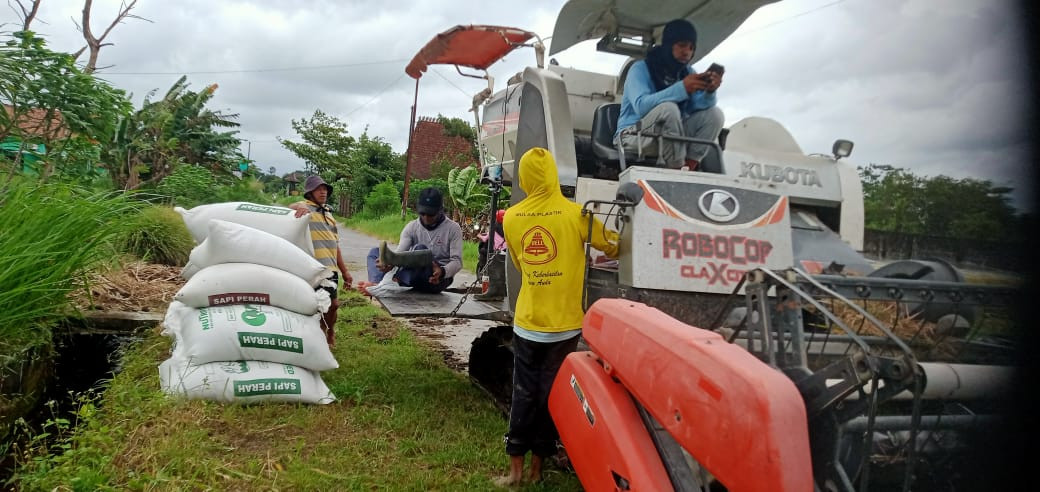 Kelompok tani sedyo Karyo Makmur Malangrejo Area persawahan Barat Nayan
